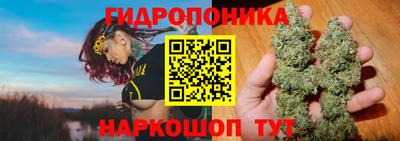 ГАЛЛЮЦИНОГЕННЫЕ ГРИБЫ Гусиноозёрск