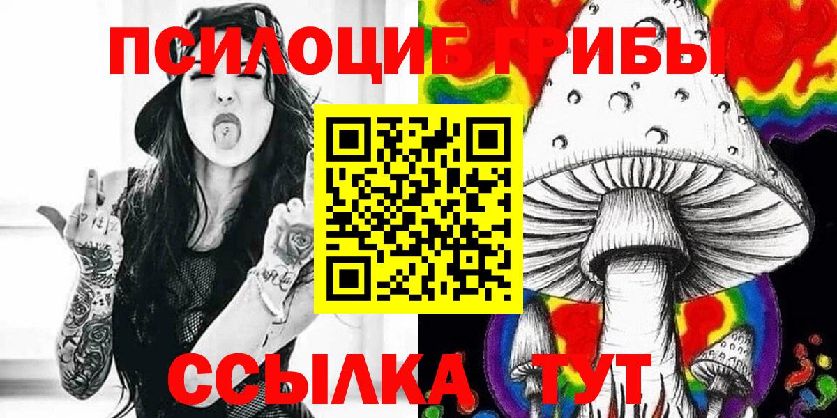 Псилоцибиновые грибы Psilocybe Нерюнгри